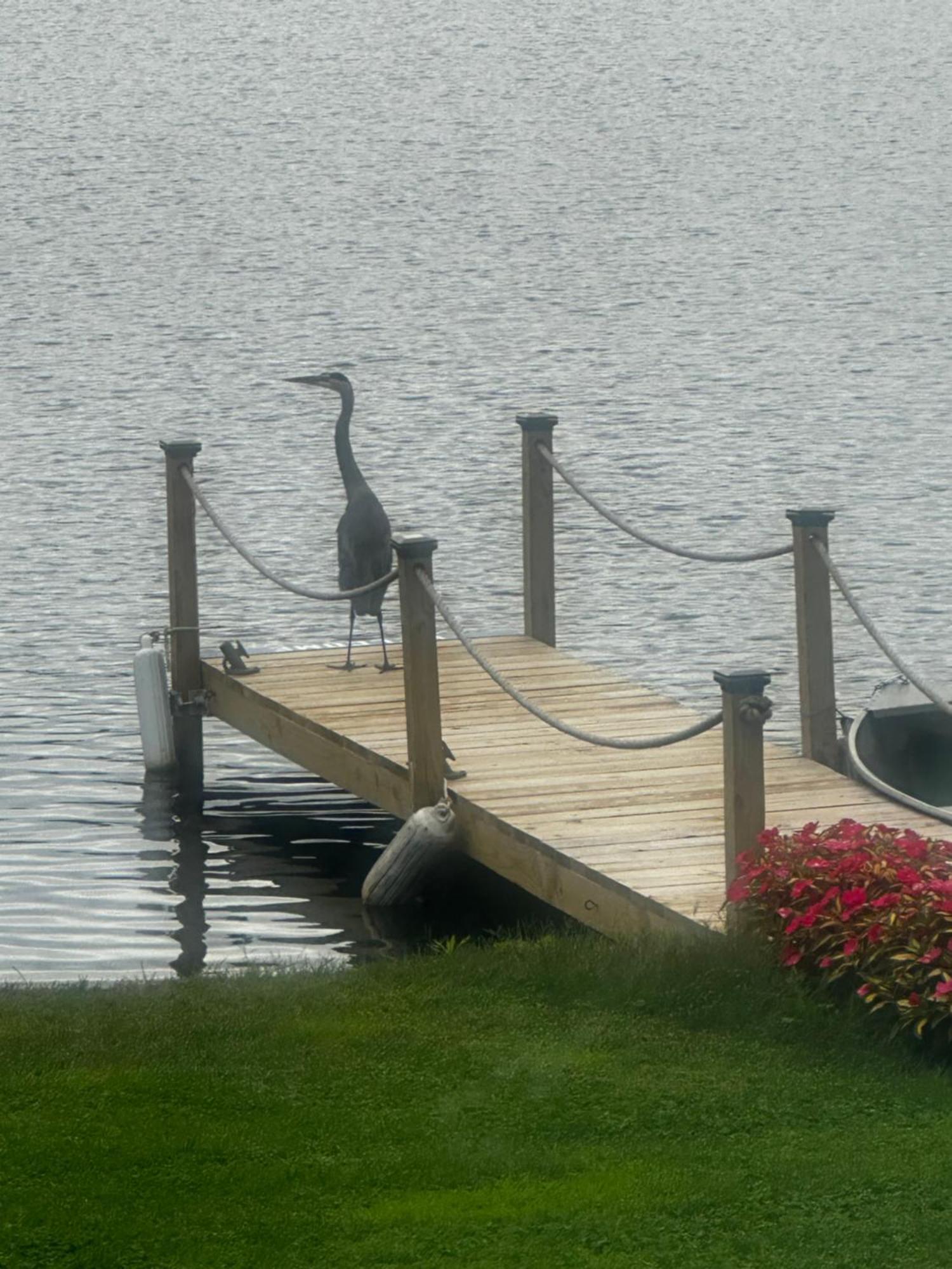 Welcome To The Lake Northwood Kültér fotó